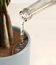 Load image into Gallery viewer, Misty Blue stand:all