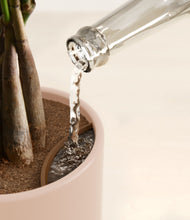 Load image into Gallery viewer, Sandy Pink stand:all