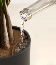 Load image into Gallery viewer, Stone Black stand:all