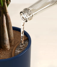 Load image into Gallery viewer, Twilight Blue stand:all