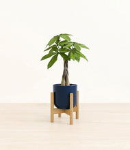 Load image into Gallery viewer, Twilight Blue stand:bamboo