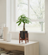 Load image into Gallery viewer, Stone Black stand:walnut