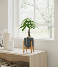 Load image into Gallery viewer, Iron Gray stand:bamboo