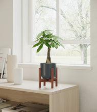 Load image into Gallery viewer, Iron Gray stand:walnut