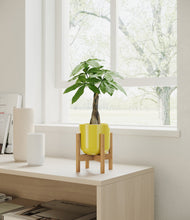 Load image into Gallery viewer, Key Lime Yellow stand:bamboo