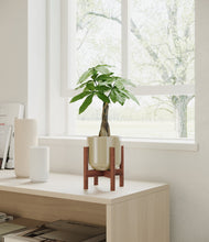 Load image into Gallery viewer, Sage Green stand:walnut
