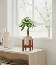 Load image into Gallery viewer, Sandy Pink stand:walnut