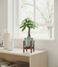 Load image into Gallery viewer, Reactive Aqua stand:walnut