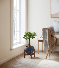 Load image into Gallery viewer, Deep Navy stand:walnut