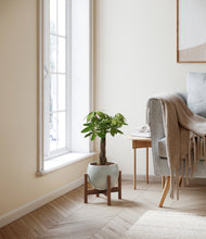 Load image into Gallery viewer, Deep Ocean stand:walnut