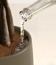 Load image into Gallery viewer, Olive stand:all