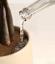 Load image into Gallery viewer, Woodland stand:all