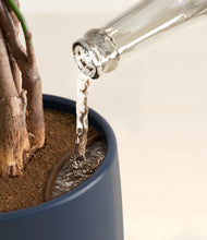 Load image into Gallery viewer, Deep Navy stand:all