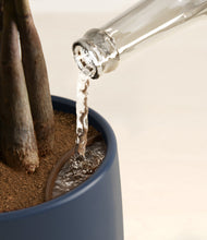 Load image into Gallery viewer, Mountain Top stand:all