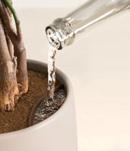 Load image into Gallery viewer, Eternal Gray stand:all