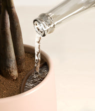 Load image into Gallery viewer, Gentle Pink stand:all