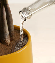 Load image into Gallery viewer, Mustard stand:all