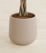 Load image into Gallery viewer, Eternal Gray stand:all