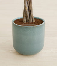 Load image into Gallery viewer, Reactive Aqua stand:all