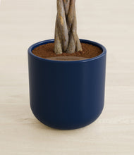 Load image into Gallery viewer, Twilight Blue stand:all