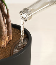 Load image into Gallery viewer, Black stand:all