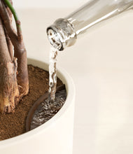 Load image into Gallery viewer, Cream stand:all