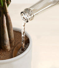 Load image into Gallery viewer, Hammered Ivory stand:all