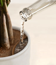 Load image into Gallery viewer, Hammered Ivory stand:all