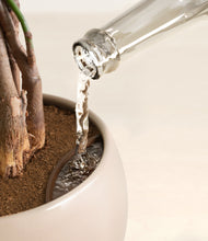 Load image into Gallery viewer, Desert Brown stand:all