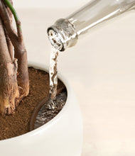 Load image into Gallery viewer, Shiny EggWhite stand:all