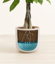 Load image into Gallery viewer, Snowdrift White