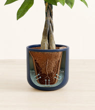 Load image into Gallery viewer, Twilight Blue stand:all