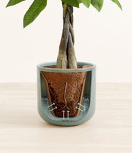 Load image into Gallery viewer, Reactive Aqua stand:all