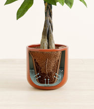 Load image into Gallery viewer, Glossy Red stand:all