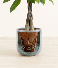 Load image into Gallery viewer, Misty Blue stand:all