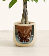 Load image into Gallery viewer, Almond Green stand:all