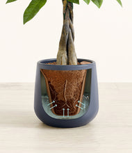 Load image into Gallery viewer, Deep Navy stand:all