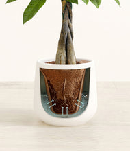 Load image into Gallery viewer, White stand:all