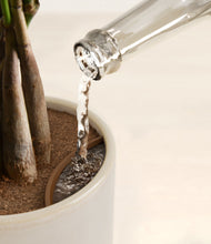 Load image into Gallery viewer, Snowdrift White stand:all