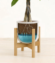 Load image into Gallery viewer, Hammered Ivory stand:bamboo