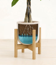 Load image into Gallery viewer, Snowdrift White stand:bamboo