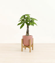 Load image into Gallery viewer, Striped Rose Pink stand:bamboo