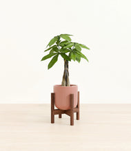 Load image into Gallery viewer, Striped Rose Pink stand:walnut