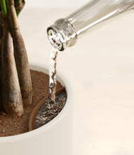 Load image into Gallery viewer, Pebble Shore stand:all