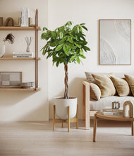 Load image into Gallery viewer, Natural Bamboo stand:bamboo