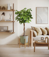 Load image into Gallery viewer, Sage Green stand:bamboo