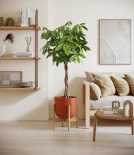 Load image into Gallery viewer, Earth Red stand:bamboo