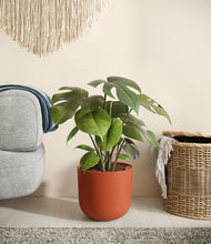 Load image into Gallery viewer, Earth Red