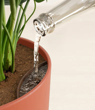 Load image into Gallery viewer, Earth Red stand:all