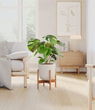 Load image into Gallery viewer, Natural Bamboo stand:bamboo